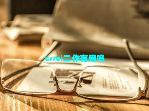 cssci二作有用吗