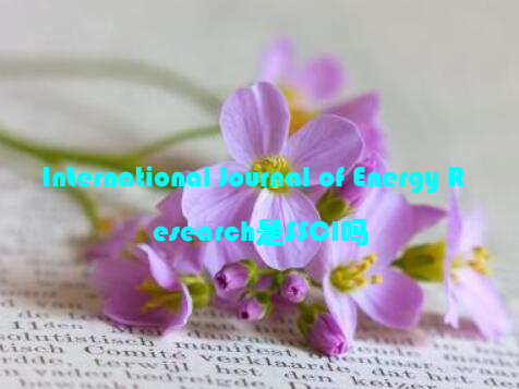 International Journal of Energy Research是SSCI吗