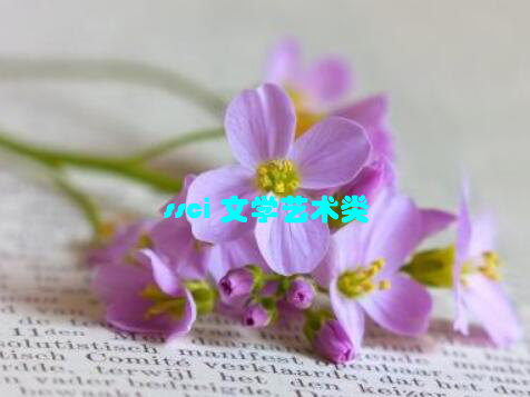 ssci 文学艺术类