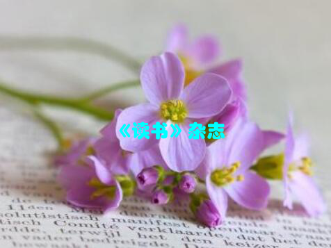 《读书》杂志