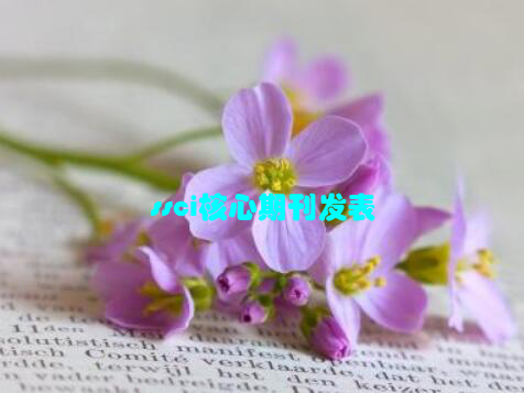 ssci核心期刊发表