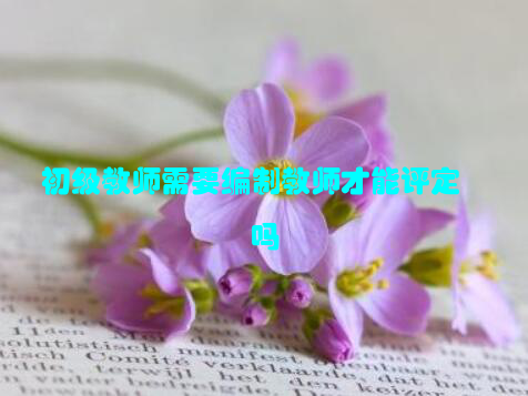初级教师需要编制教师才能评定吗