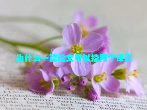 为什么一篇论文可以挂两个课题