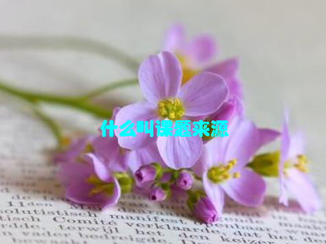 什么叫课题来源