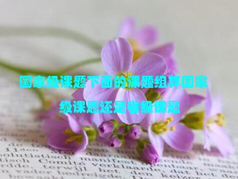 国家级课题下面的课题组算国家级课题还是省级课题