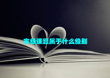 市级课题属于什么级别
