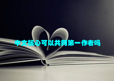 中文核心可以共同第一作者吗