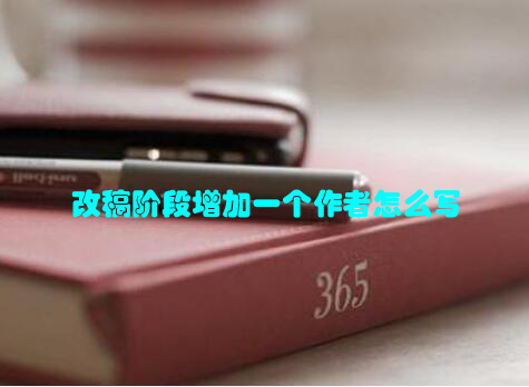 改稿阶段增加一个作者怎么写