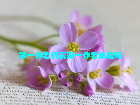 第一作者代表第一作者单位吗