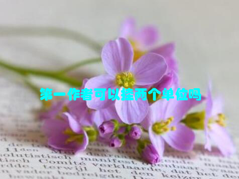 第一作者可以挂两个单位吗