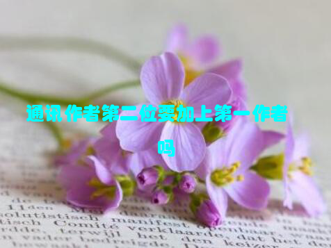 通讯作者第二位要加上第一作者吗