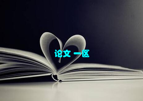 论文 一区