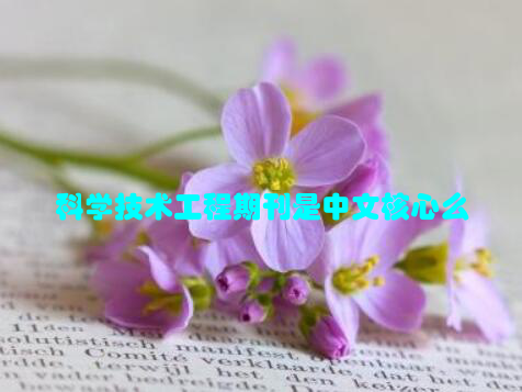 科学技术工程期刊是中文核心么