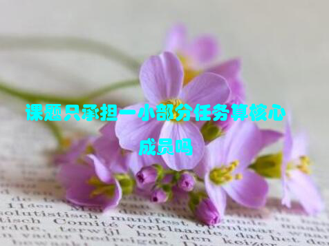 课题只承担一小部分任务算核心成员吗