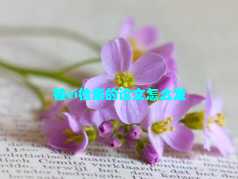 被ei检索的论文怎么发
