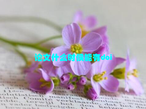 论文什么时候能有doi