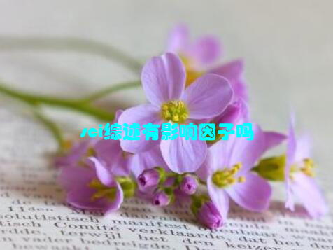 sci综述有影响因子吗