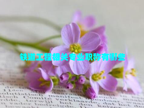 铁道工程相关专业职称有哪些