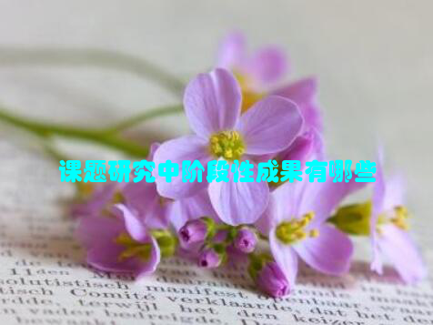 课题研究中阶段性成果有哪些