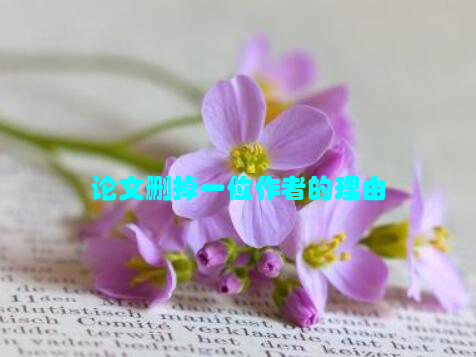 论文删掉一位作者的理由