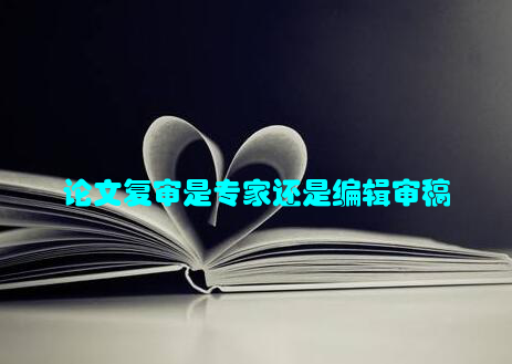 论文复审是专家还是编辑审稿