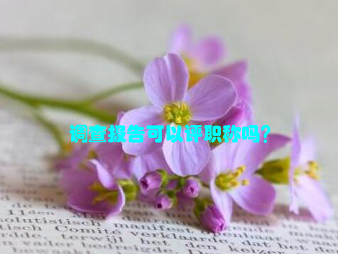 调查报告可以评职称吗？
