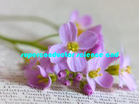 superconductor science and