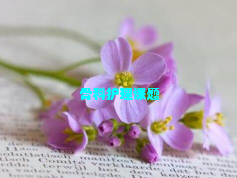 骨科护理课题