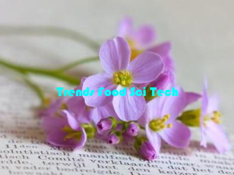 Trends Food Sci Tech