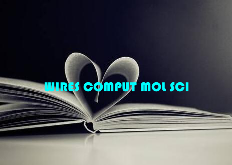 WIRES COMPUT MOL SCI