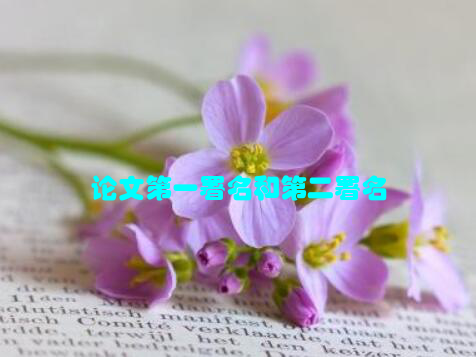 论文第一署名和第二署名