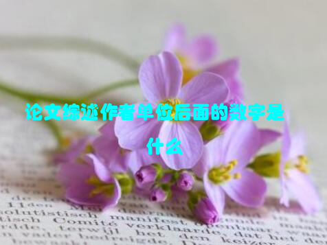 论文综述作者单位后面的数字是什么
