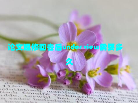 论文返修回去后under view需要多久