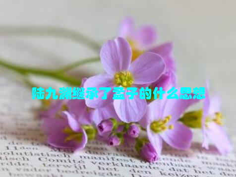 陆九渊继承了孟子的什么思想