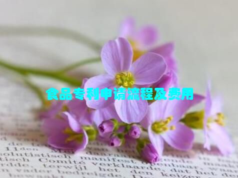 食品专利申请流程及费用