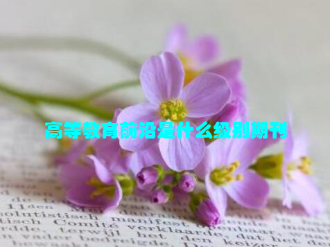 高等教育前沿是什么级别期刊