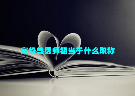 高级兽医师相当于什么职称
